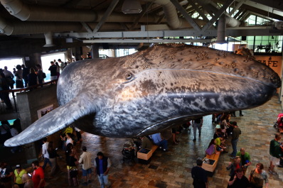 photo 1068718