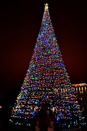 photo 1436635