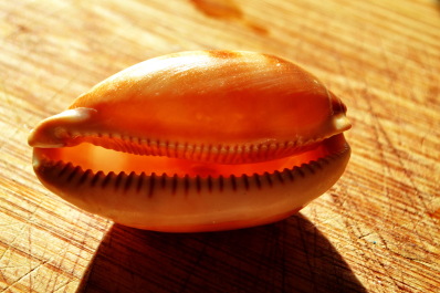 photo 1437878