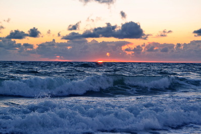 photo 1438368