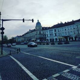 photo 1733787