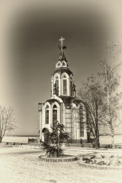 photo 1446527