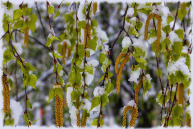 photo 1478608