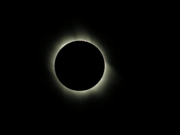 photo 1295130