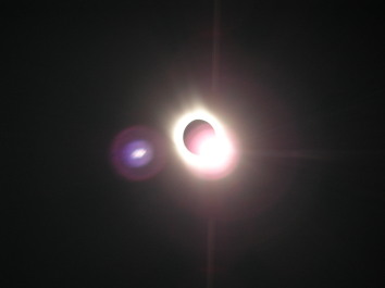 photo 1295131