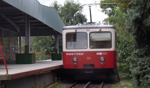 56222a2964608.jpg