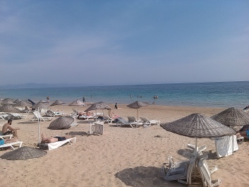 photo 1329986