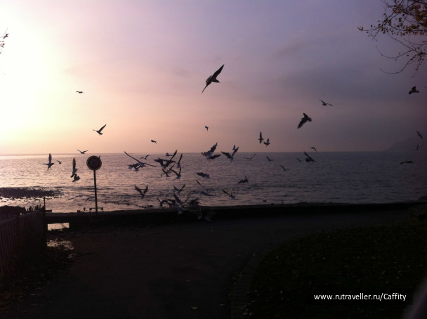 photo 203002