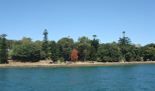 DSC02557