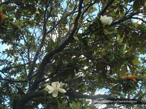 photo 510069