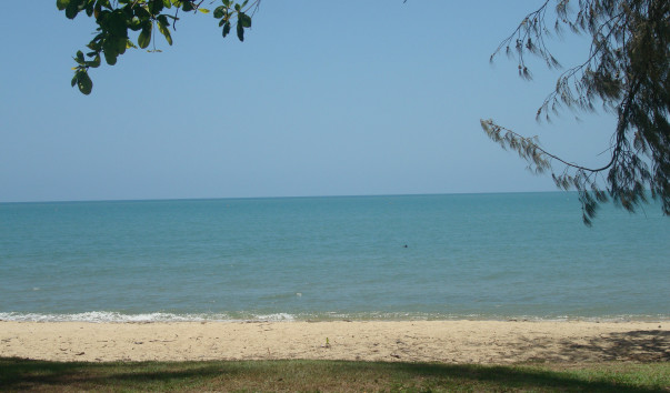 DSC02962