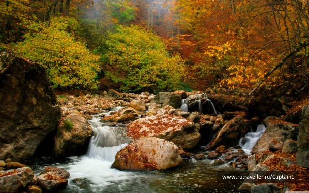 photo 1533579