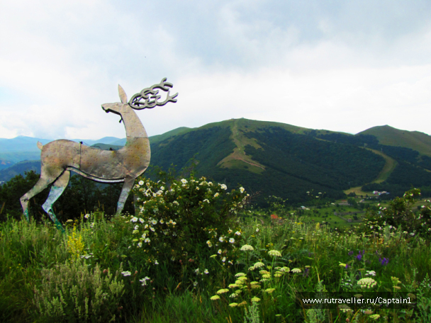 photo 1534472