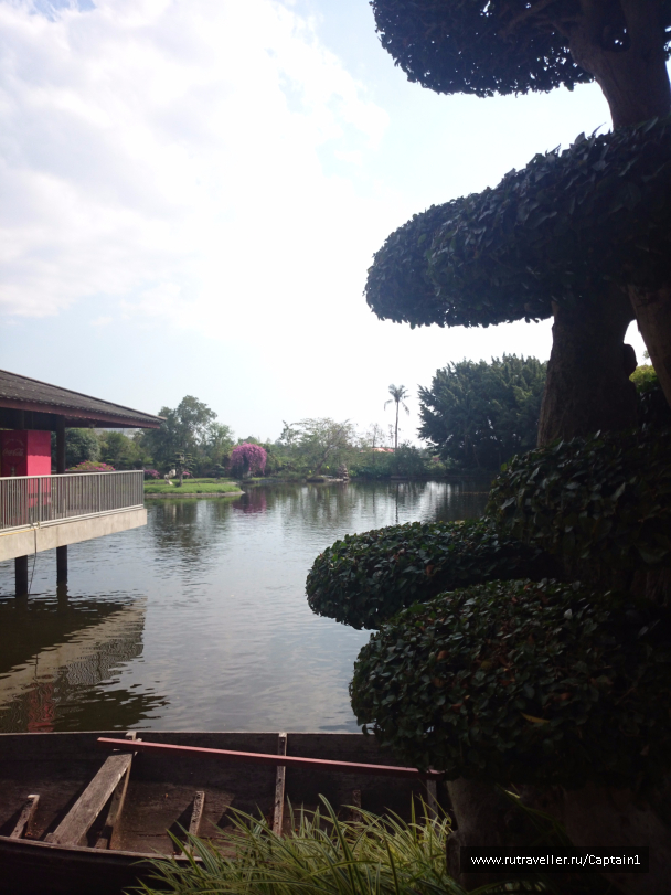 photo 1534917