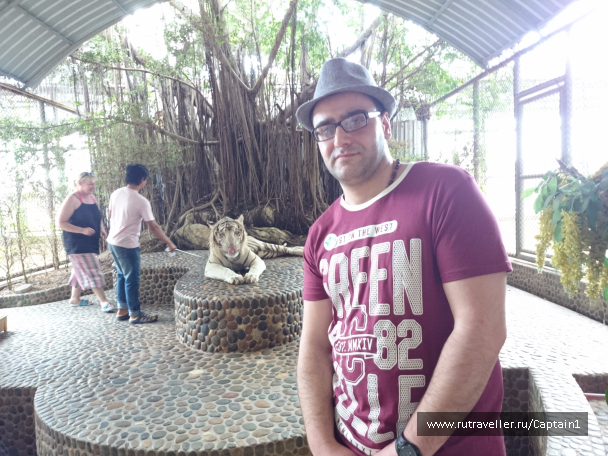 photo 1534921