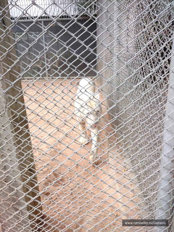 photo 1534923