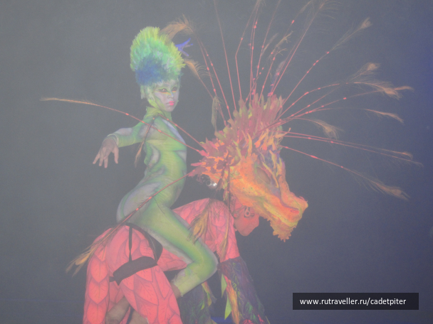 photo 1349142