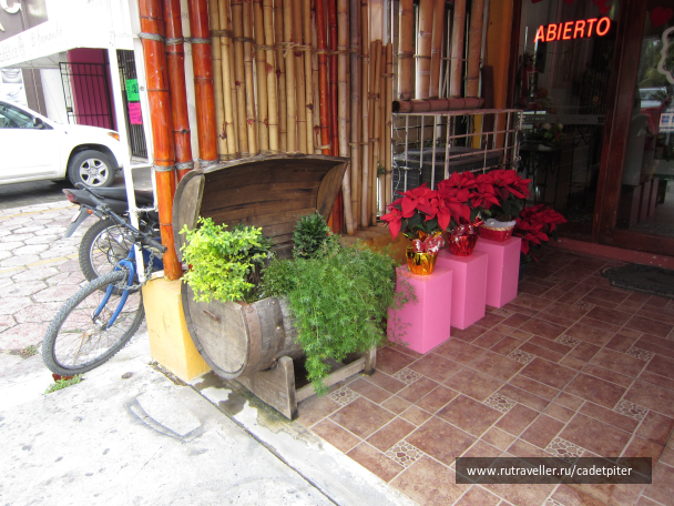 photo 1349147