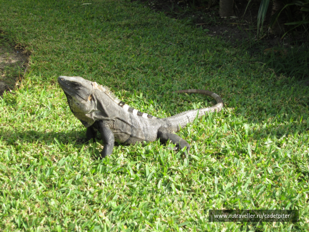 photo 1349150