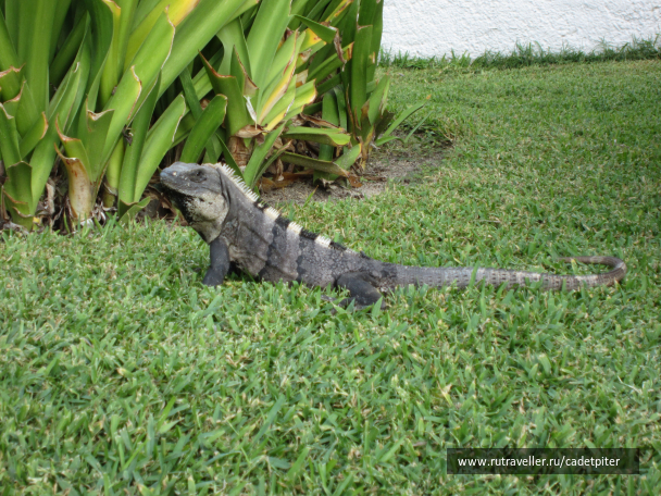 photo 1349151