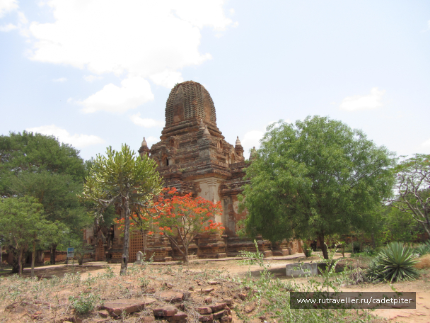 photo 1642425