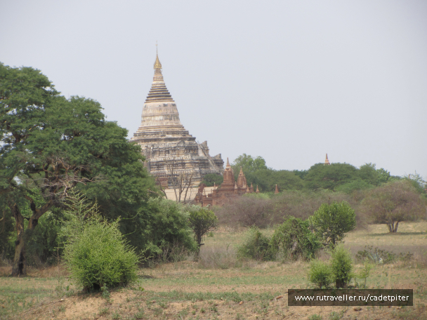 photo 1642426