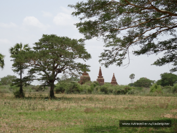 photo 1642824