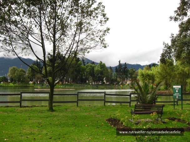 photo 1206666