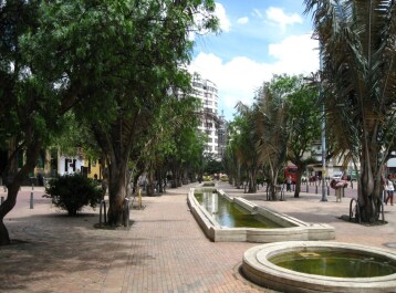 photo 1207481