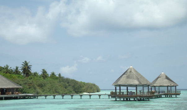 DSCF1685
