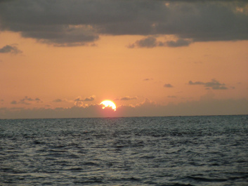 photo 95977