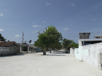 photo 96006