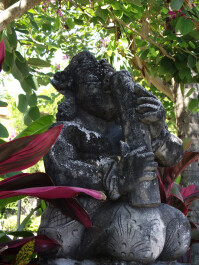 photo 25916