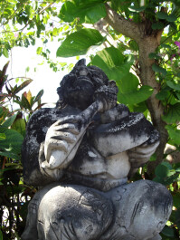 photo 25917