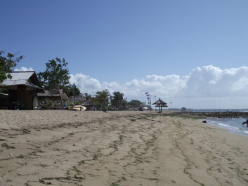 photo 25927