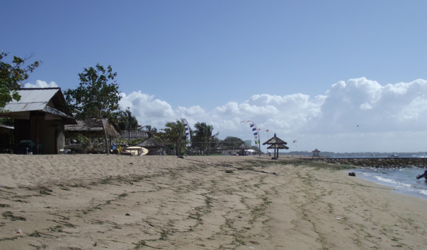 DSCF0381