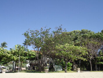 photo 25928