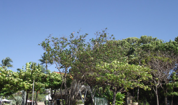 DSCF0380