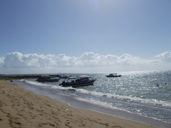 photo 25930