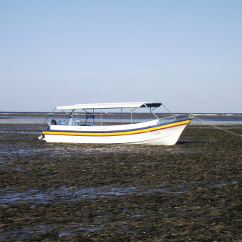 Отлив Бали