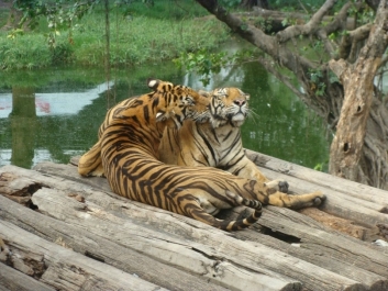 photo 669314