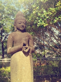 photo 846314