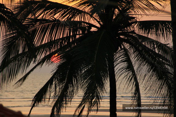 photo 435566