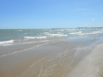 photo 842171