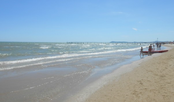 DSCN8237