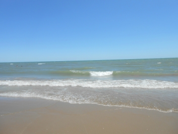 photo 842173