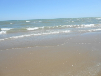 photo 842174