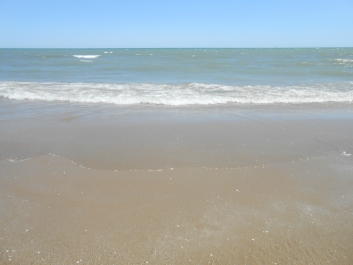 photo 842175