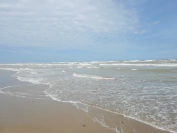 photo 842176