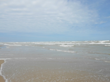 photo 842177